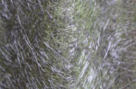 Norman Cross fibreglass roof work